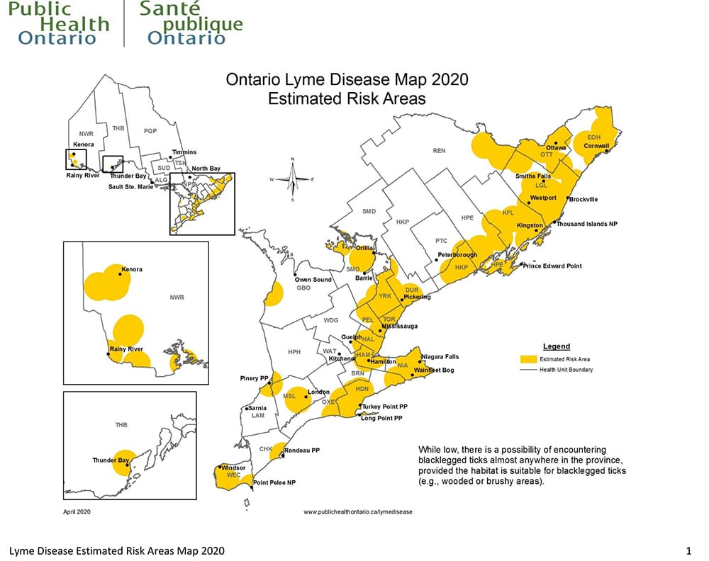 lyme disease risk area map 2020