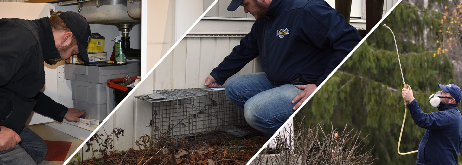helping people get rid of pests