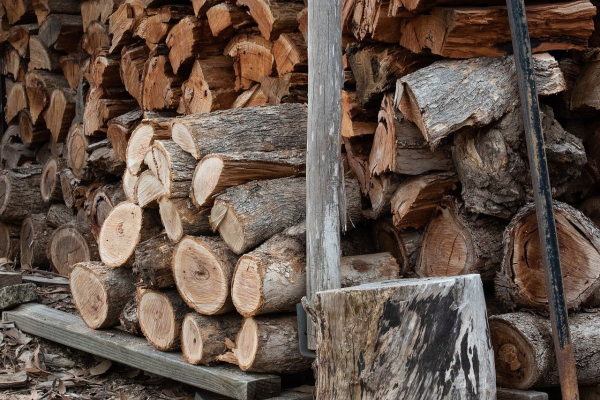 Timely Tips for Fall and Winter